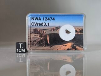 NWA 12474 (CVred 3.1) - 0.046g fragment