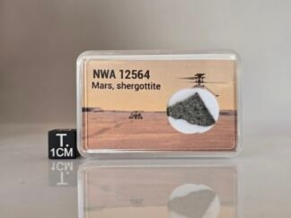 NWA 12564 (shergottite) - 0.572g part slice