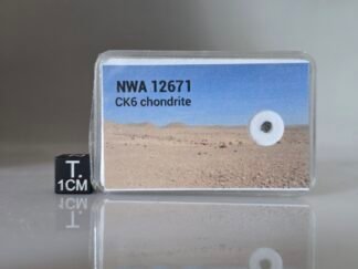 NWA 12671 (CK6) - 0.019g fragment