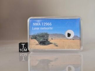 NWA 12966 (feldsp. breccia) - 0.022g part slice