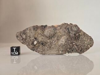 NWA 17700 (lunar, troctolite) - 15.3g slice