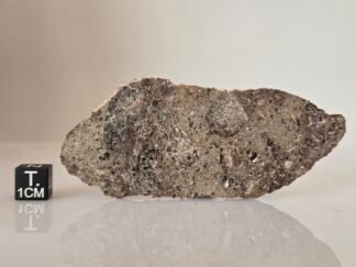 NWA 17700 (lunar, troctolite) - 16.2g slice