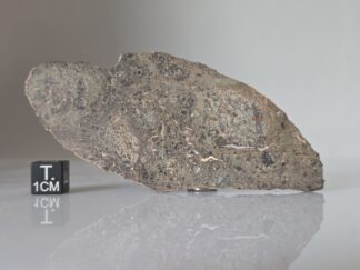 NWA 17700 (lunar, troctolite) - 17.8g slice