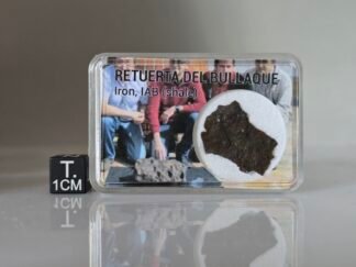 Retuerta del Bullaque (IAB) - 0.87g shale fragment