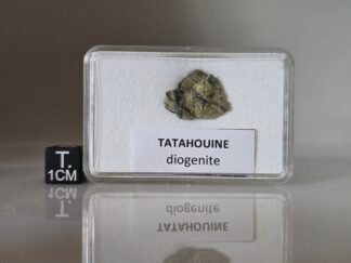 Tatahouine (diogenite) - 2.03g specimen