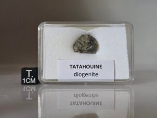 Tatahouine (diogenite) - 2.72g specimen