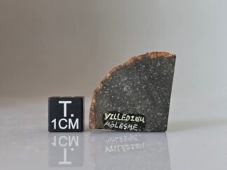 Villedieu (H4) - 10.1g w/crust