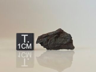 La Caille (iron, ung.) - 2.91g fragment