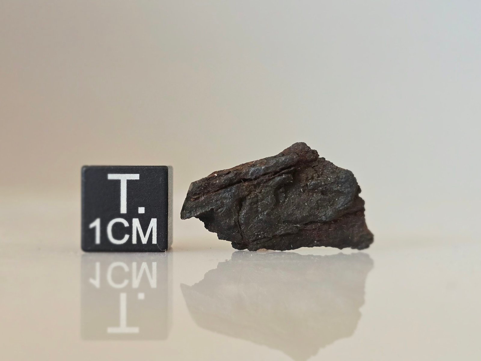 La Caille (iron, ung.) - 2.91g fragment