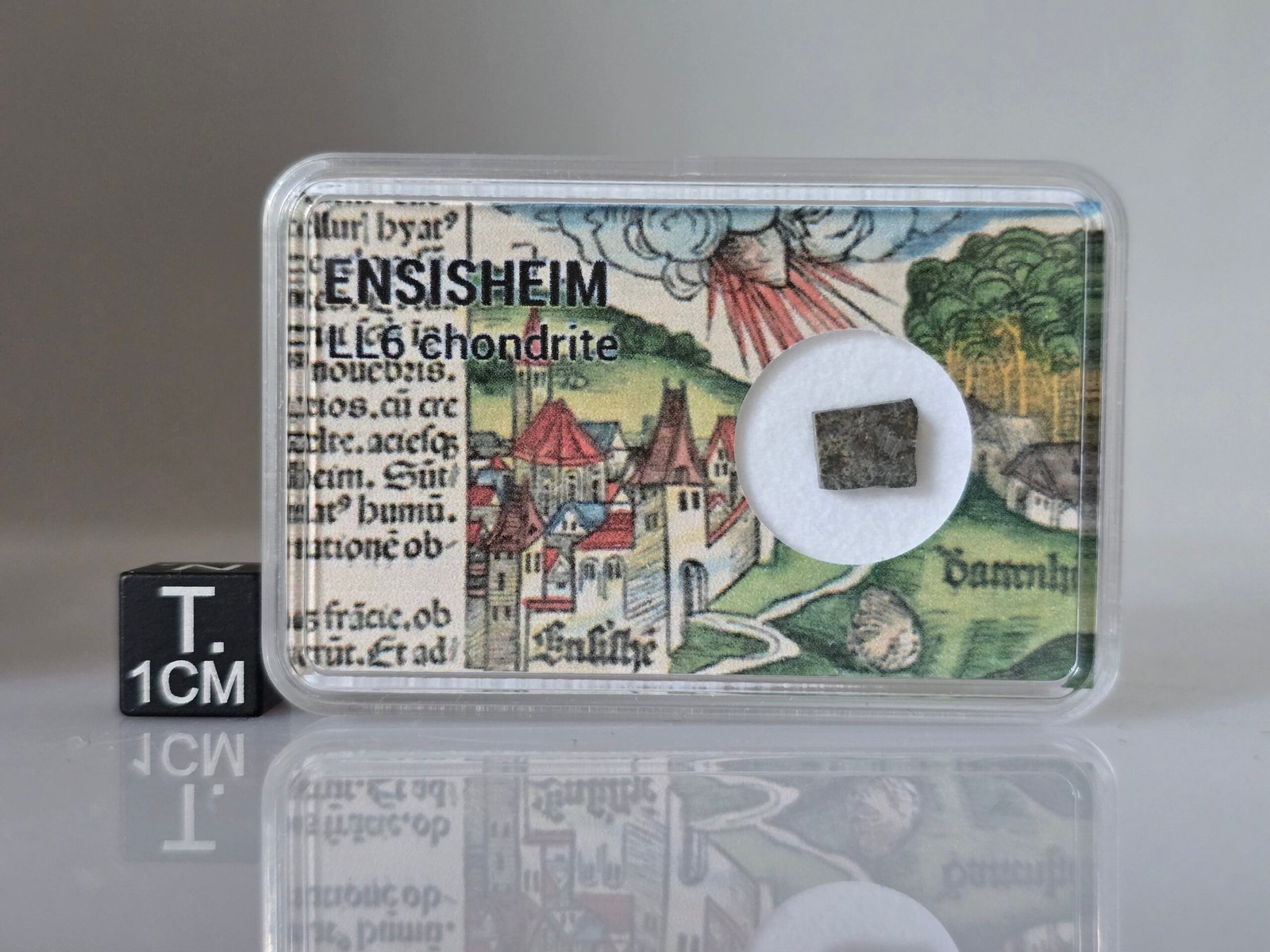 Ensisheim (LL6) - 0.256g part slice