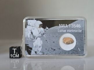 NWA 13546 (lunar) - 0.31g specimen