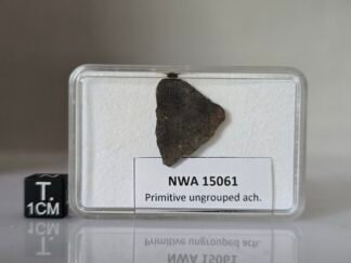 NWA 15061 (prim. achondrite) - 1.47g slice