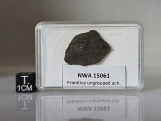 NWA 15061 (prim. achondrite) - 2.09g slice