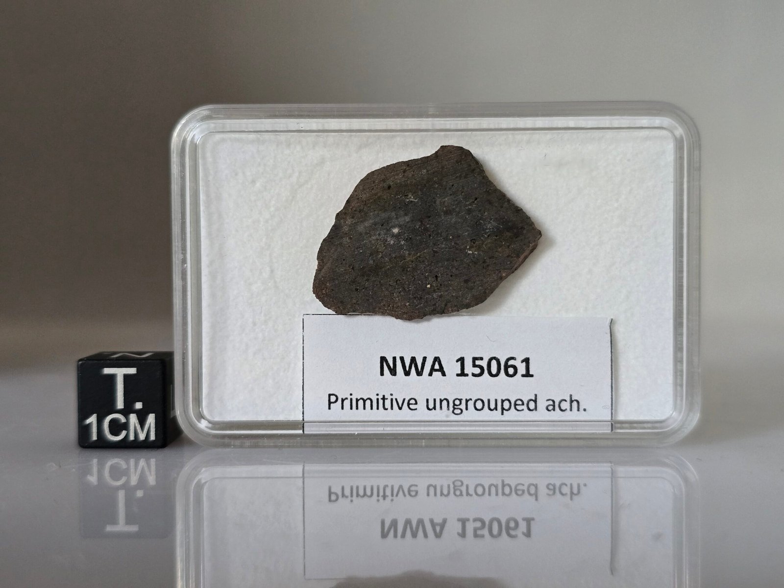NWA 15061 (prim. achondrite) - 2.09g slice