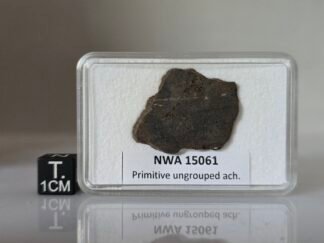NWA 15061 (prim. achondrite) - 3.21g slice