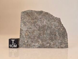 Saint-Séverin (LL6) - 7.1g part slice