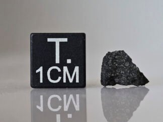 Murchison (CM2) - 0.315g fragment
