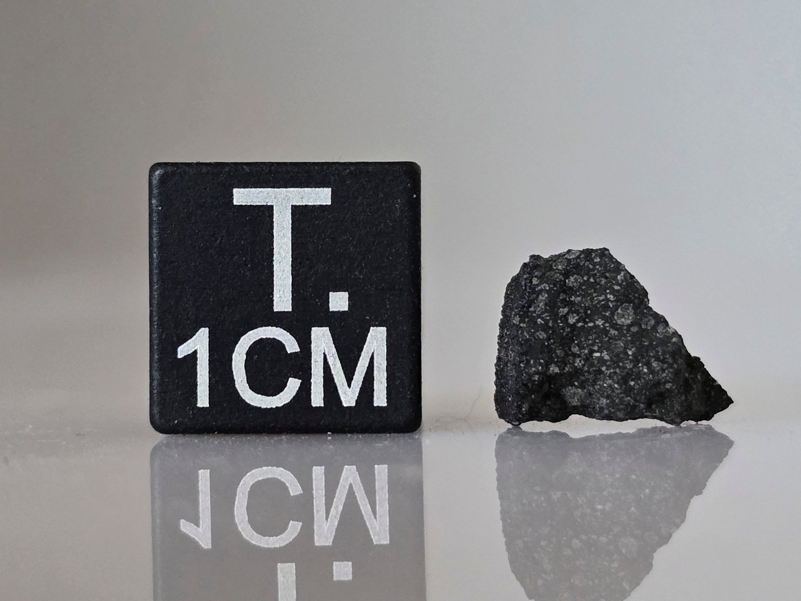Murchison (CM2) - 0.315g fragment