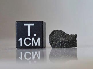 Murchison (CM2) - 0.357g fragment