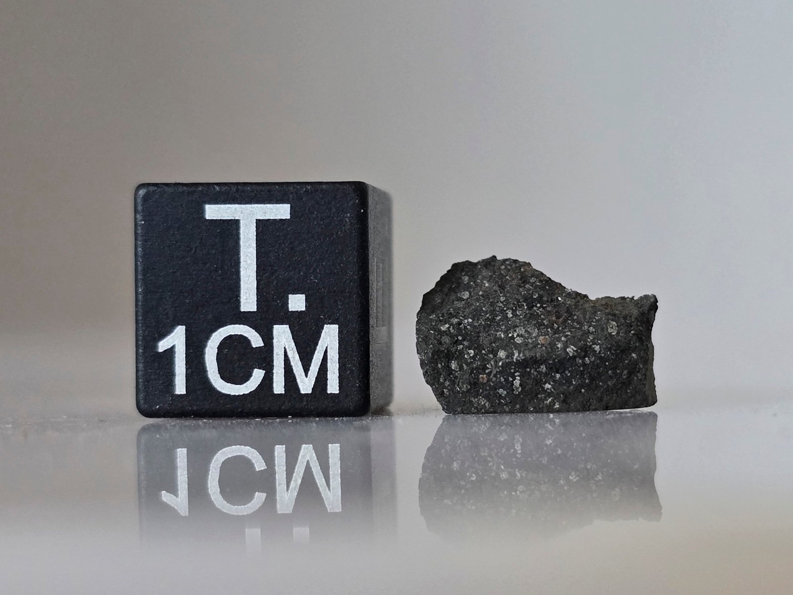 Murchison (CM2) - 0.357g fragment