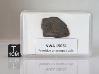 NWA 15061 (prim. achondrite) - 2.04g slice
