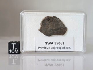 NWA 15061 (prim. achondrite) - 2.07g slice
