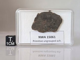 NWA 15061 (prim. achondrite) - 3.20g slice