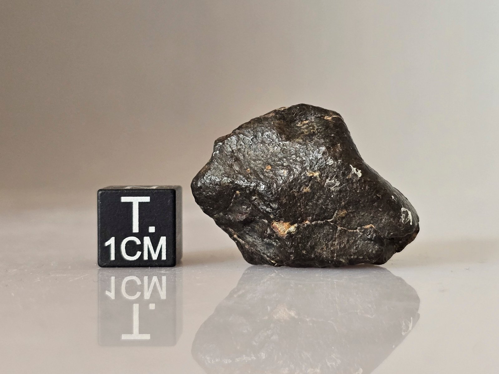 NWA 869 (L3-6) - 14.7g specimen - Image 4