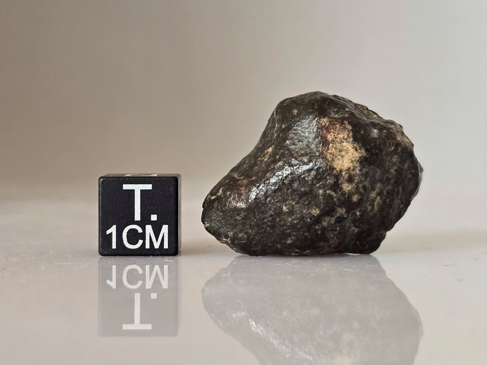 NWA 869 (L3-6) - 14.7g specimen - Image 3