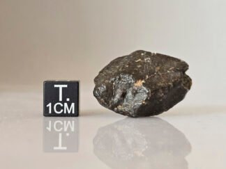 NWA 869 (L3-6) - 14.7g specimen