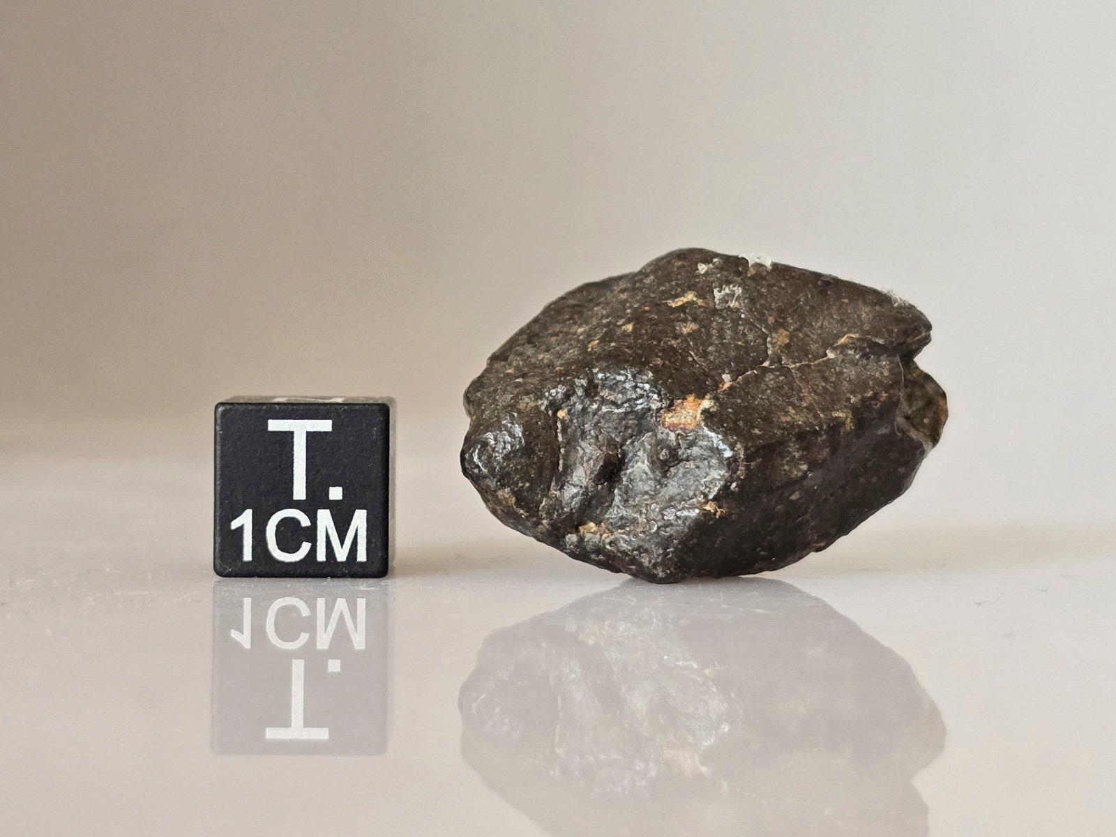 NWA 869 (L3-6) - 14.7g specimen