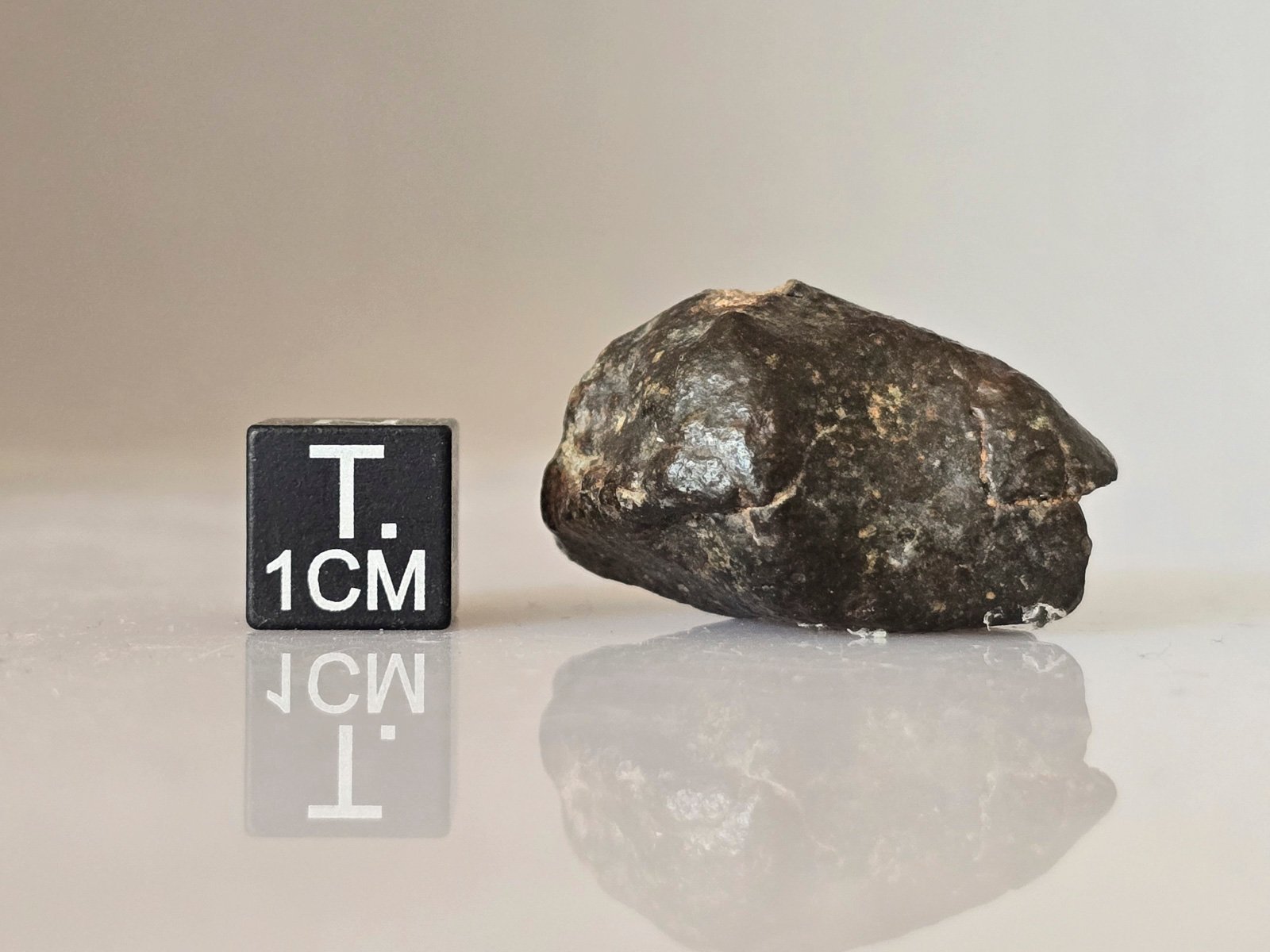 NWA 869 (L3-6) - 14.7g specimen - Image 2