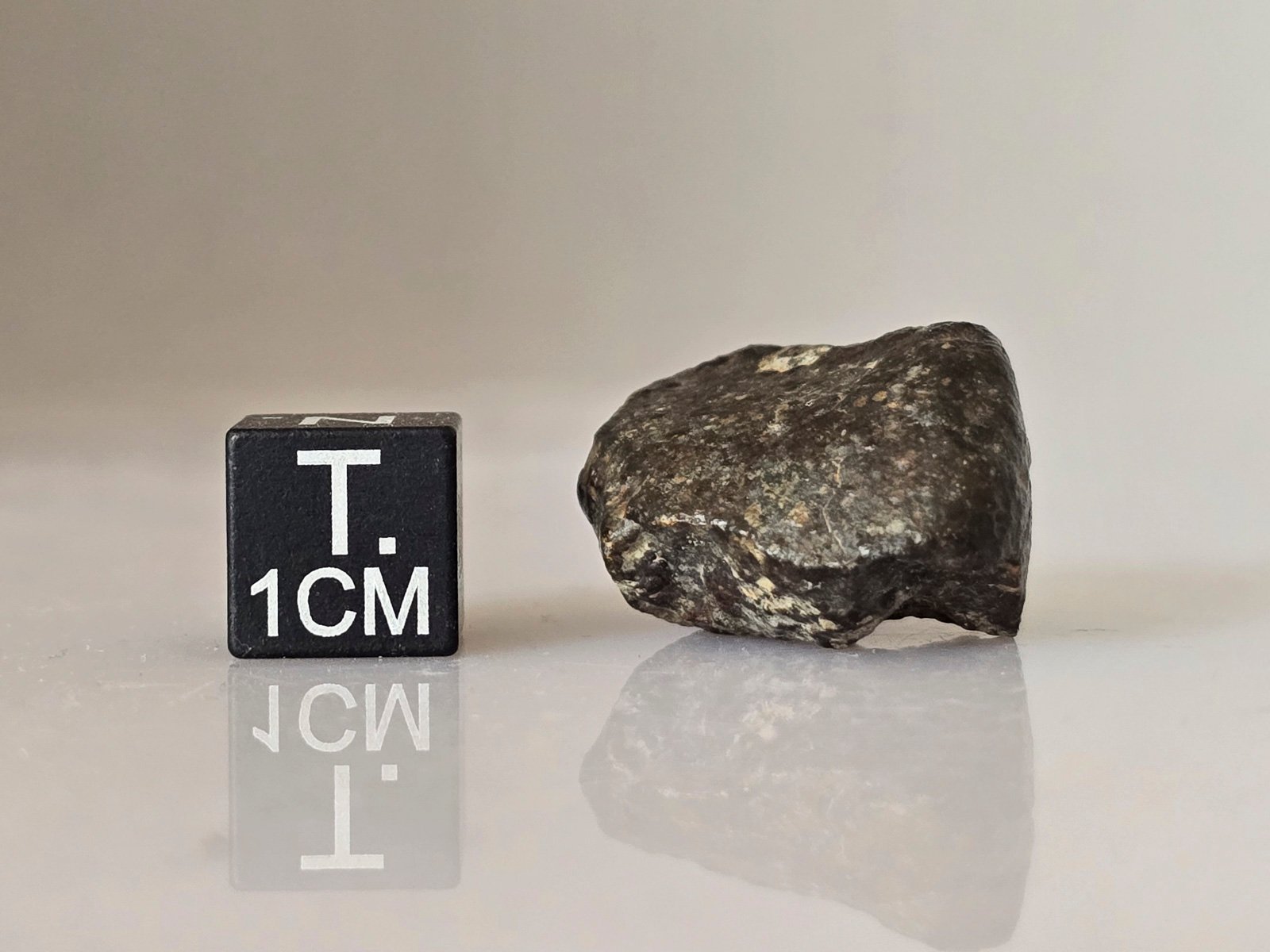 NWA 869 (L3-6) - 9.32g specimen - Image 3