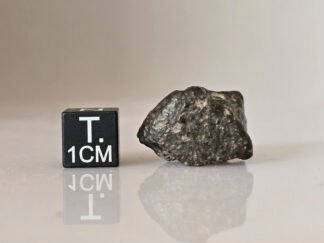 NWA 869 (L3-6) - 9.32g specimen