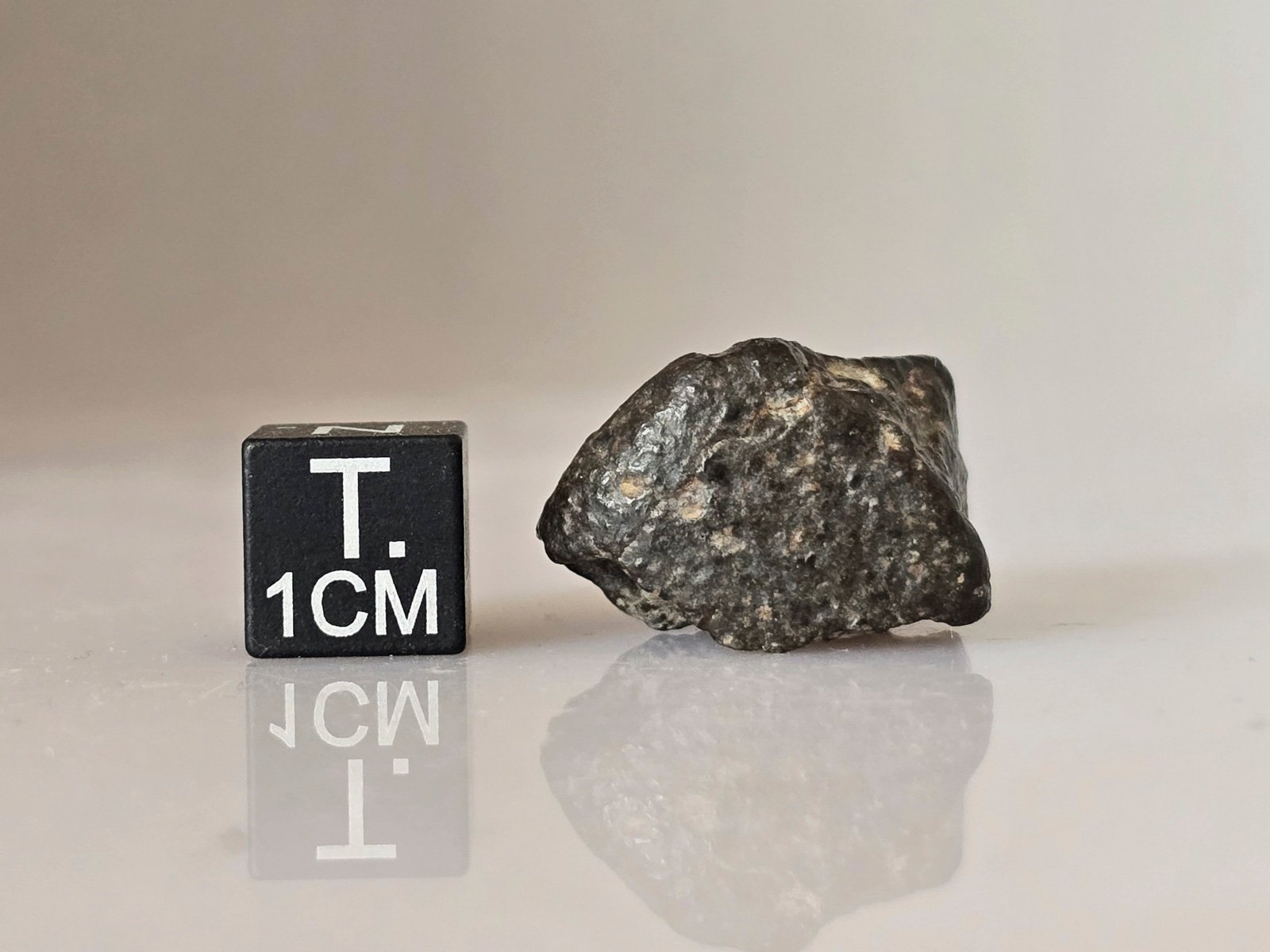 NWA 869 (L3-6) - 9.32g specimen