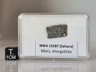 NWA 13187 (shergottite) - 0.99g part slice