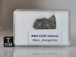 NWA 13187 (shergottite) - 1.38g part slice