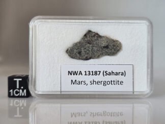 NWA 13187 (shergottite) - 1.417g part slice
