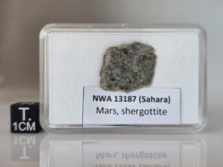 NWA 13187 (shergottite) - 1.70g part slice
