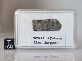 NWA 13187 (shergottite) - 1.78g part slice