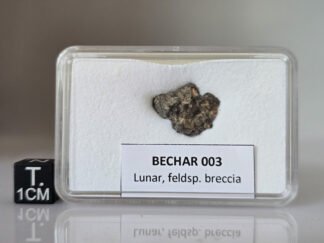 Bechar 003 (lunar) - 1.34g specimen