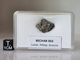Bechar 003 (lunar) - 2.24g specimen