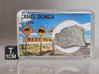 Camel Donga (eucrite) - 1.70g slice