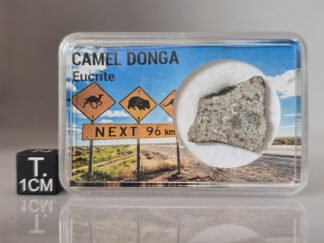 Camel Donga (eucrite) - 1.71g crusted endcut
