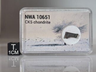 NWA 10651 (CK5) - 0.220g part slice
