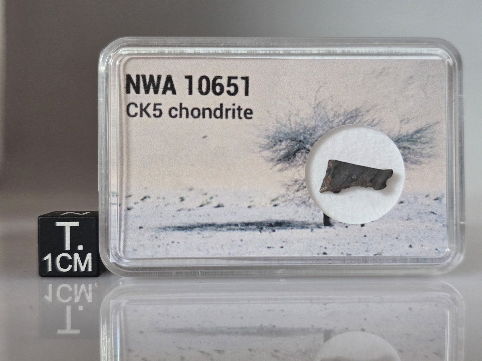 NWA 10651 (CK5) - 0.220g part slice