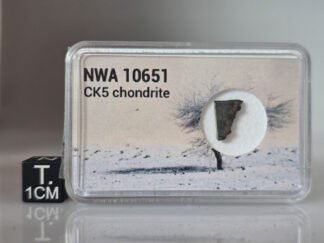 NWA 10651 (CK5) - 0.224g part slice