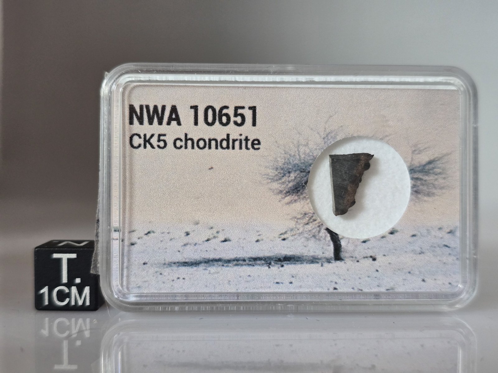 NWA 10651 (CK5) - 0.224g part slice