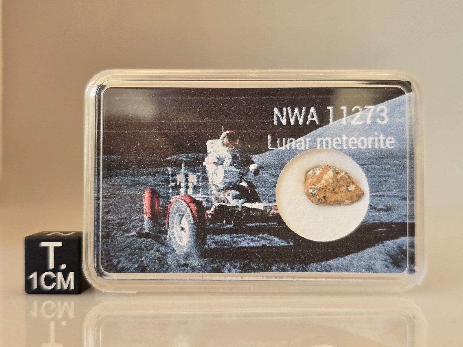 NWA 11273 (lunar) - 0.333g specimen