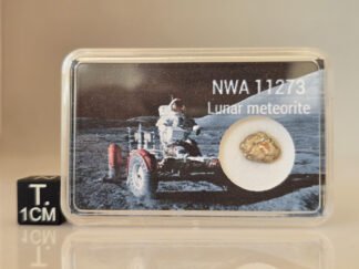 NWA 11273 (lunar) - 0.355g specimen